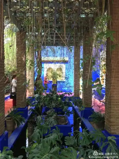 测试一个超长简介的文章