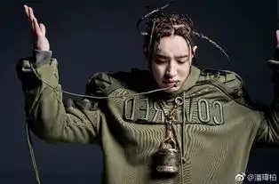 酷炸潘玮柏新专辑造型大走黑人hiphop风