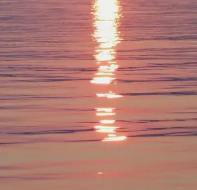 测试一个超长简介的文章