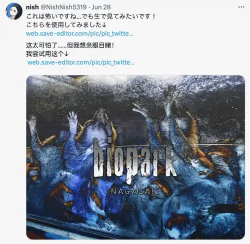 日本动物园发浣熊惊悚照生化官方翻牌太像了