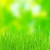 2019年草地微信头像图微信头像图片大全