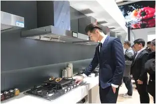 海尔厨电智慧成套双驱发力高端市场