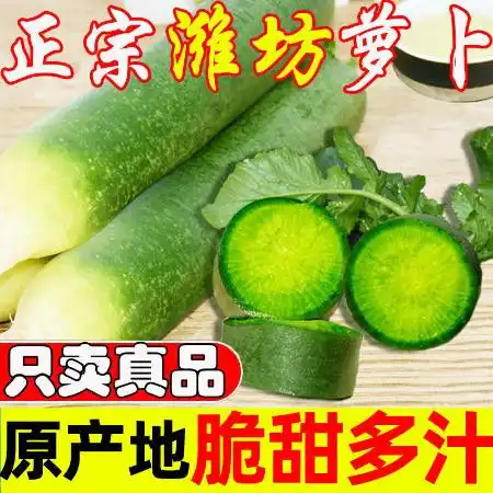 水果萝卜潍坊萝卜正宗甜脆水果型新鲜沙窝萝卜潍县青萝卜蔬菜包邮