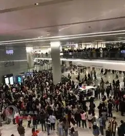 狂热粉丝挤碎虹桥机场玻璃连人民日报都狠批理智追星