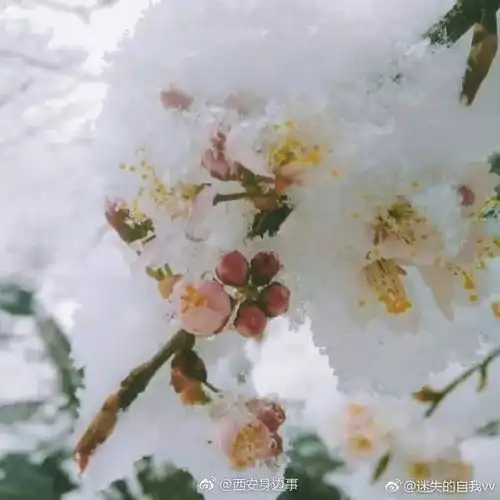 本以为要穿春装去赏花季节却看秦岭祥峪冰雪奇缘