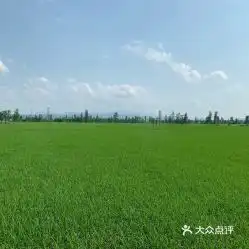 电话,地址,价格,营业时间图台山市周边游