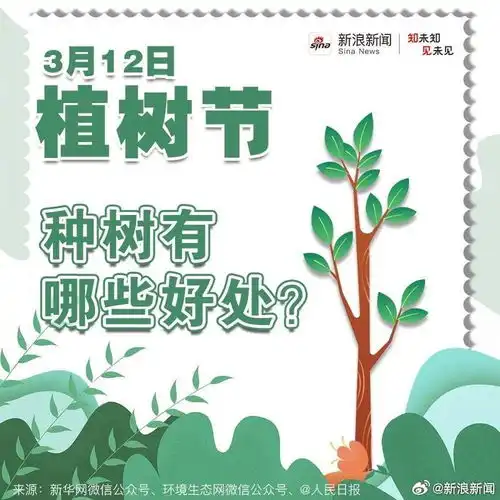 每颗大树都曾只是一粒种子