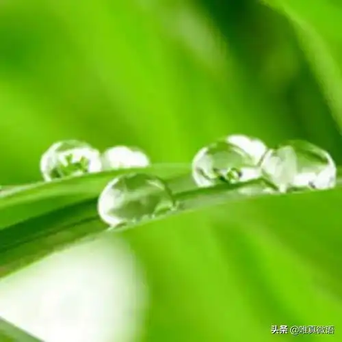 小论集之146调节小论