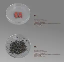 丝路岁月大时代下的小故事