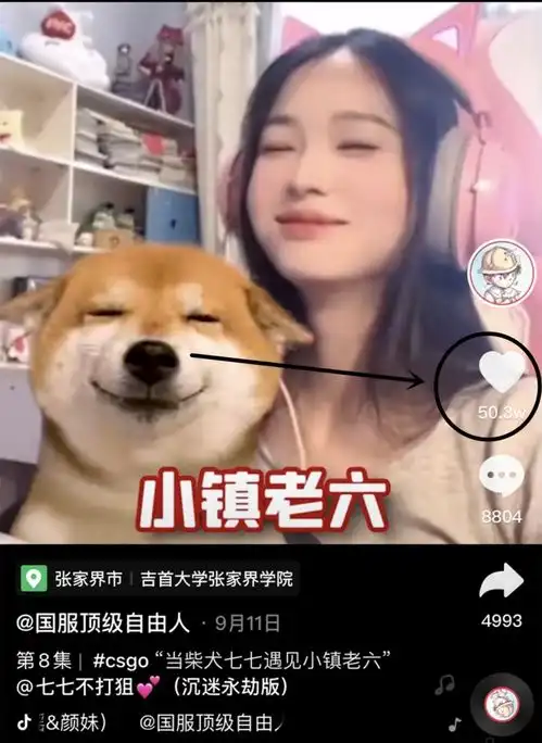 csgo主播虎牙首秀,姐妹花摆下鸿门宴,能否解锁神秘cos