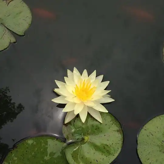 测试一个超长简介的文章