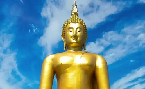 测试一个超长简介的文章