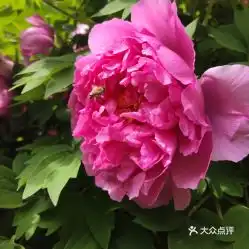 电话,地址,价格,营业时间北京周边游