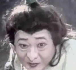 测试一个超长简介的文章