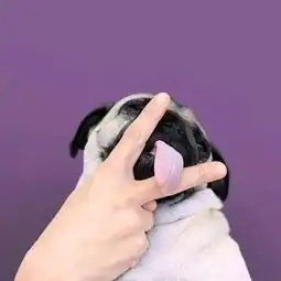 我在看,有你在的天空