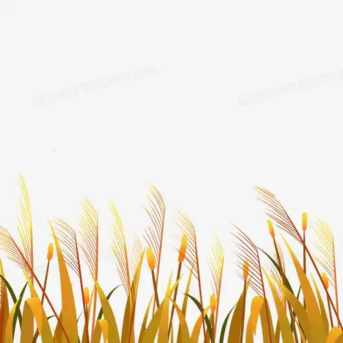 秋天卡通麦穗芦苇png图片素材下载麦穗png熊猫办公