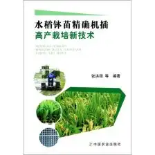 水稻苗