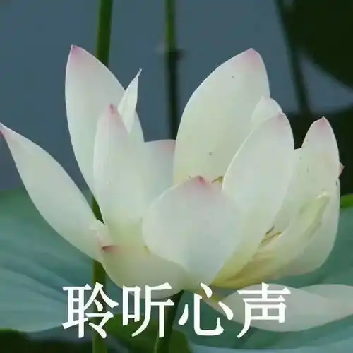 2018年度渣男渣女自检测试,说不定你们也是隐形渣