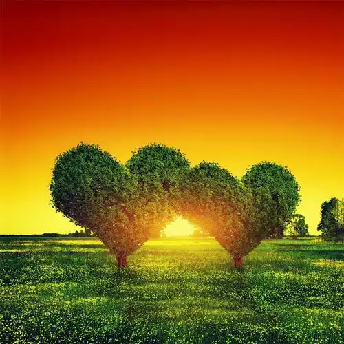 记住爱的感觉,是心动和偏爱