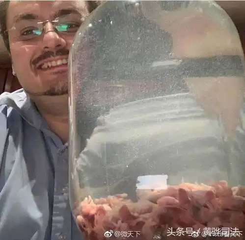 瑞典将开放最恶心食物博物馆中国皮蛋入选