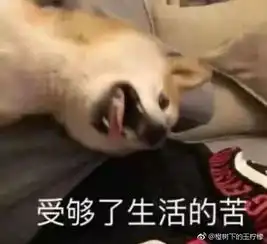 是谁在练太极,风生水起