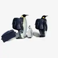 企鹅一家图片素材模板下载0.00mb居家物品大全生活工作