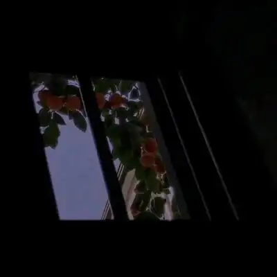 把爱当成责任,当成生命中最重要的事情