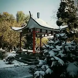 测试一个超长简介的文章