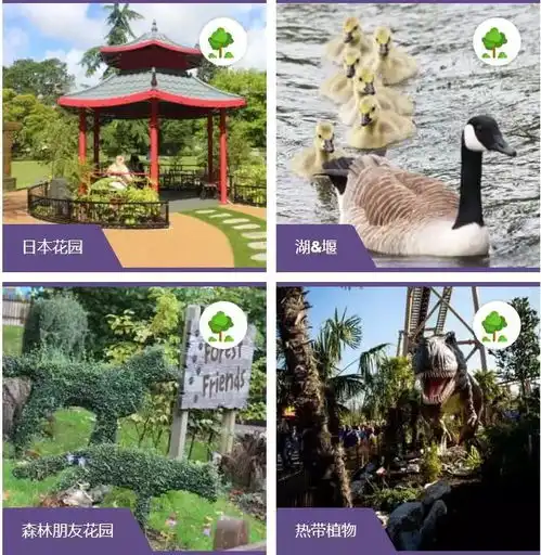 小猪佩奇主题乐园年底登陆上海社会人不了解下吗