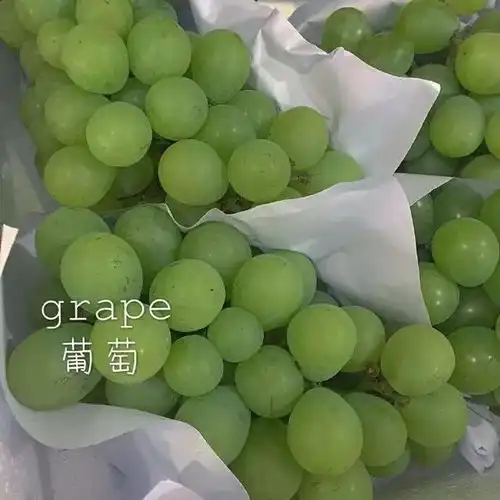 背景图好看个性的背景图装饰你的朋友圈