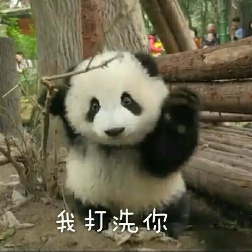 历史逗比集