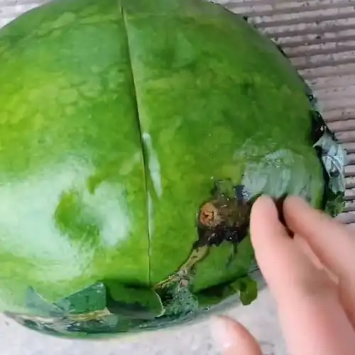 测试一个超长简介的文章