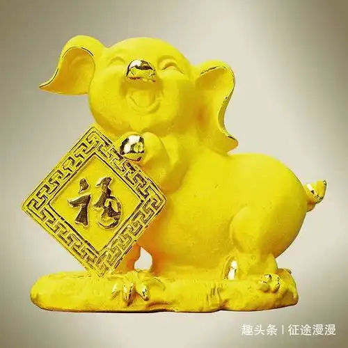 大金猪看好了2020年身价要涨,福到,财到,运气到属猪