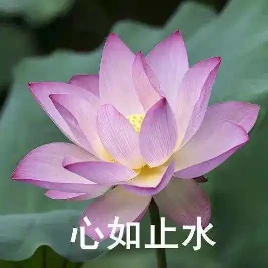 趣福建,嗨一夏福建的夏,甚荷我意