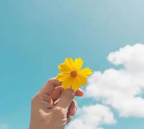 刷爆朋友圈的早安心语,简单干净,人人点赞