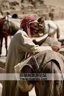 到逛埃及著名的毛驴市场五