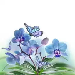 测试一个超长简介的文章