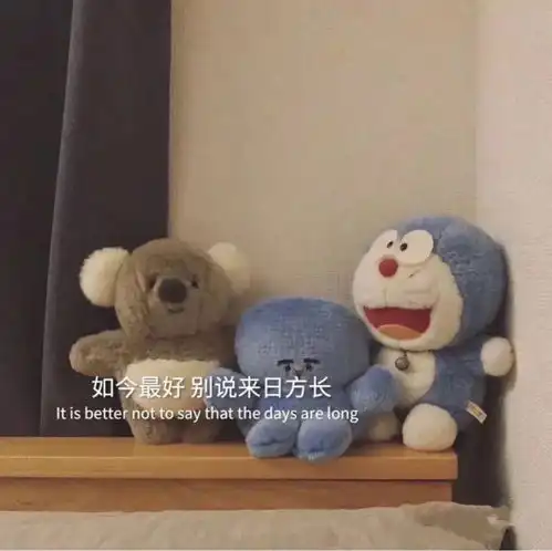 江湖规矩,我喜欢你,你就必须喜欢我丨微信封面