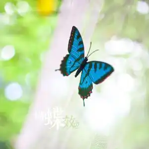 蝴蝶效应1结局