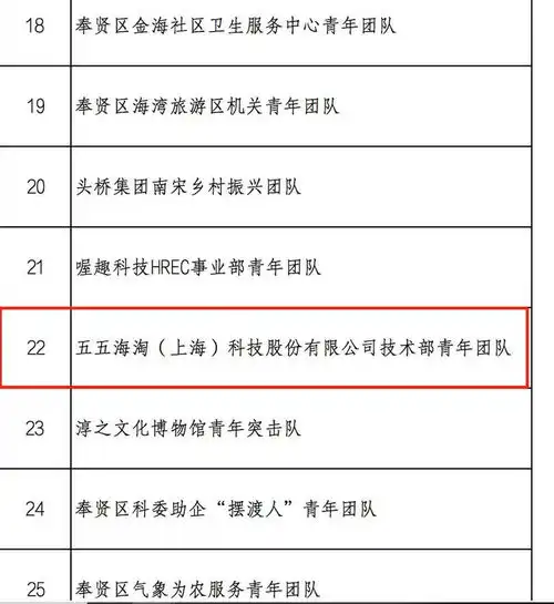 五五海淘技术部青年团队上榜五美五强新青年个人集体名单