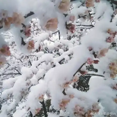 本以为要穿春装去赏花季节却看秦岭祥峪冰雪奇缘