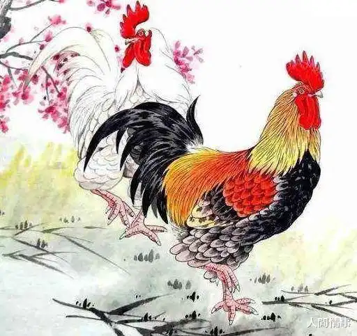测试一个超长简介的文章