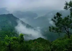 以讹传讹非茶之学术,科学严谨茶学之本深度好文
