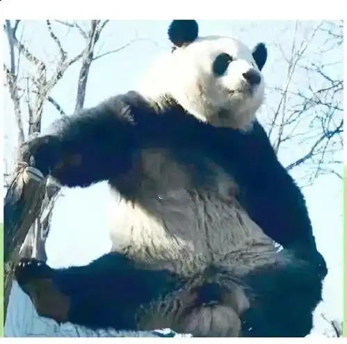 测试一个超长简介的文章
