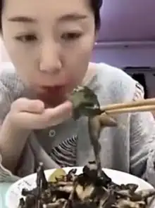 女主播直播吃青蛙视频脑门内脏统统不放过