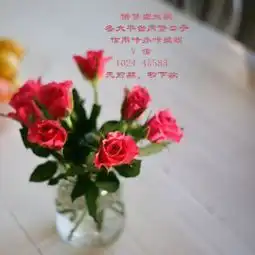 借贷宝真的能贷款吗