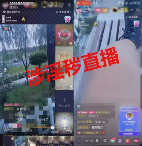 陕西一网络主播被抓