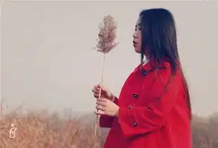 你现在的气质里,藏着你走过的路和读过的书旅游频道