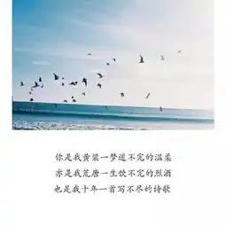 对不起,我把你弄丢了