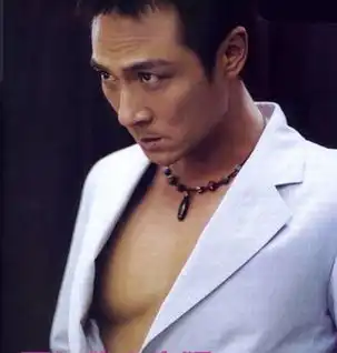 刘德华梁朝伟并列型男榜首